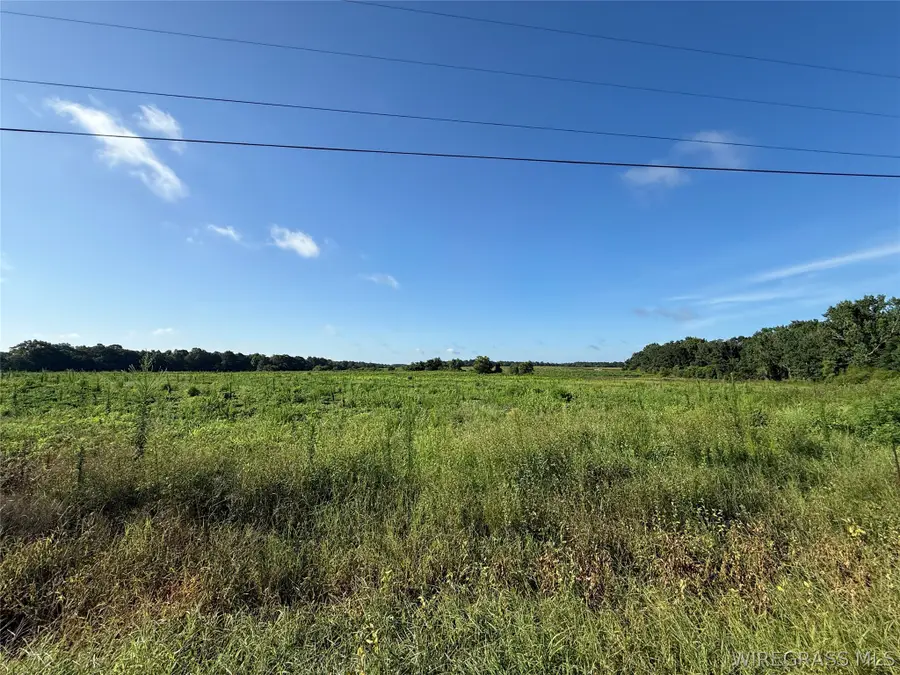 00 Judge Logue Road, Newton, AL 36352 - #2