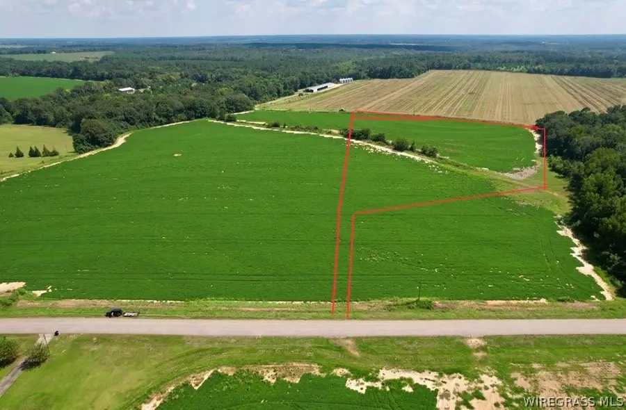 00 Judge Logue Road, Newton, AL 36352 - #3