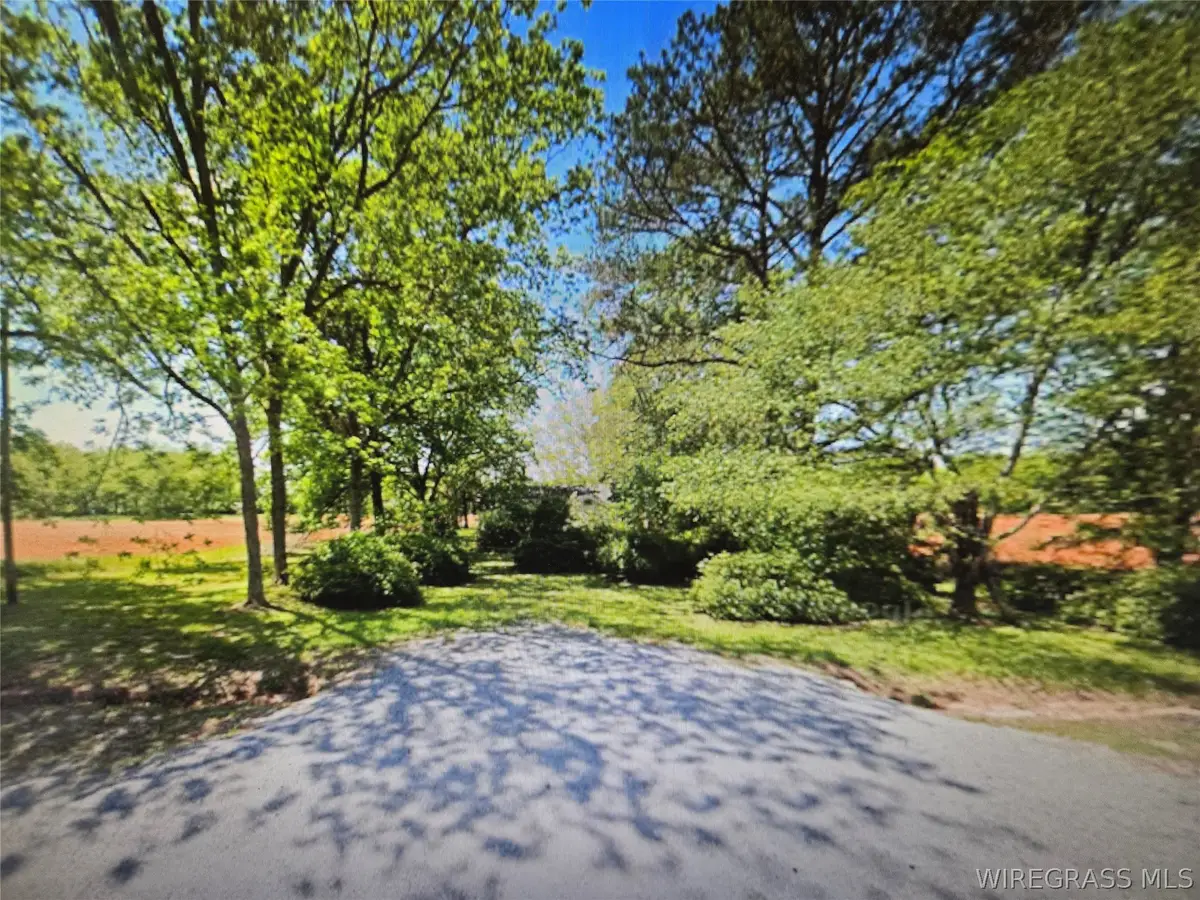 11166 Luverne Highway, Greenville, AL 36037 - #1