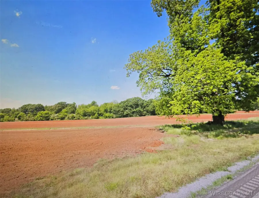 11166 Luverne Highway, Greenville, AL 36037 - #2