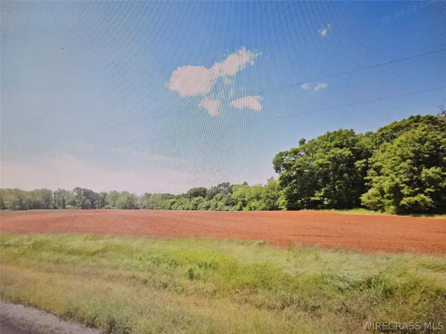 11166 Luverne Highway, Greenville, AL 36037 - #3