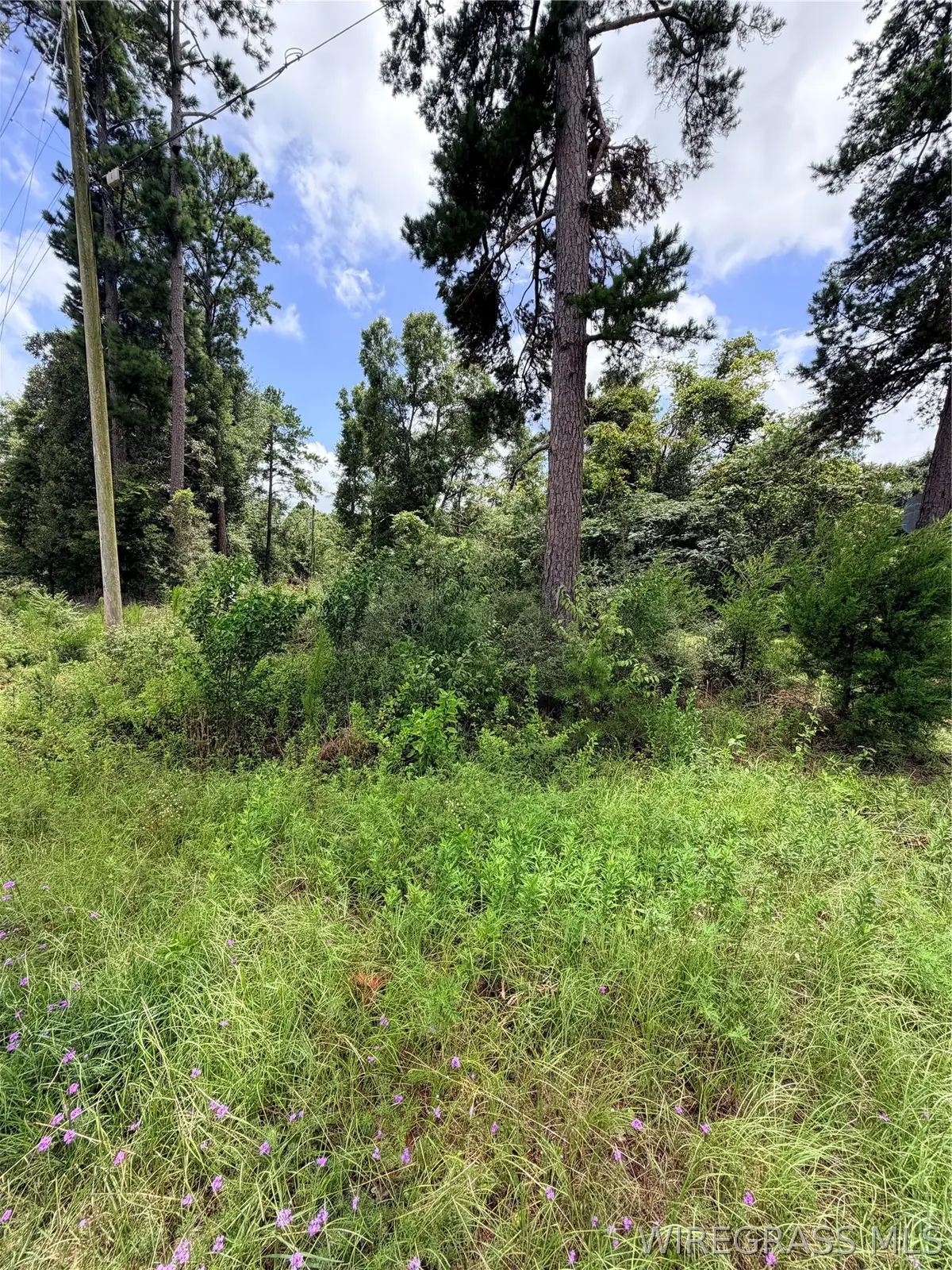 TBD Scott Drive, Elba, AL 36323 - #1