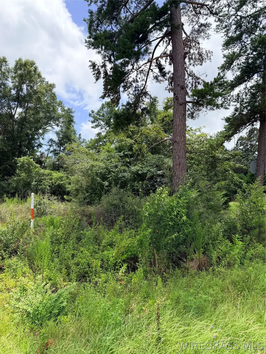 TBD Scott Drive, Elba, AL 36323 - #2