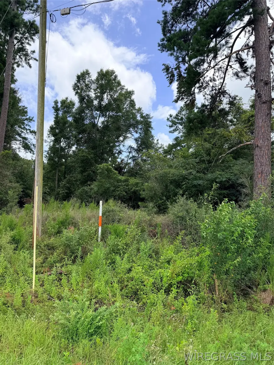 TBD Scott Drive, Elba, AL 36323 - #3