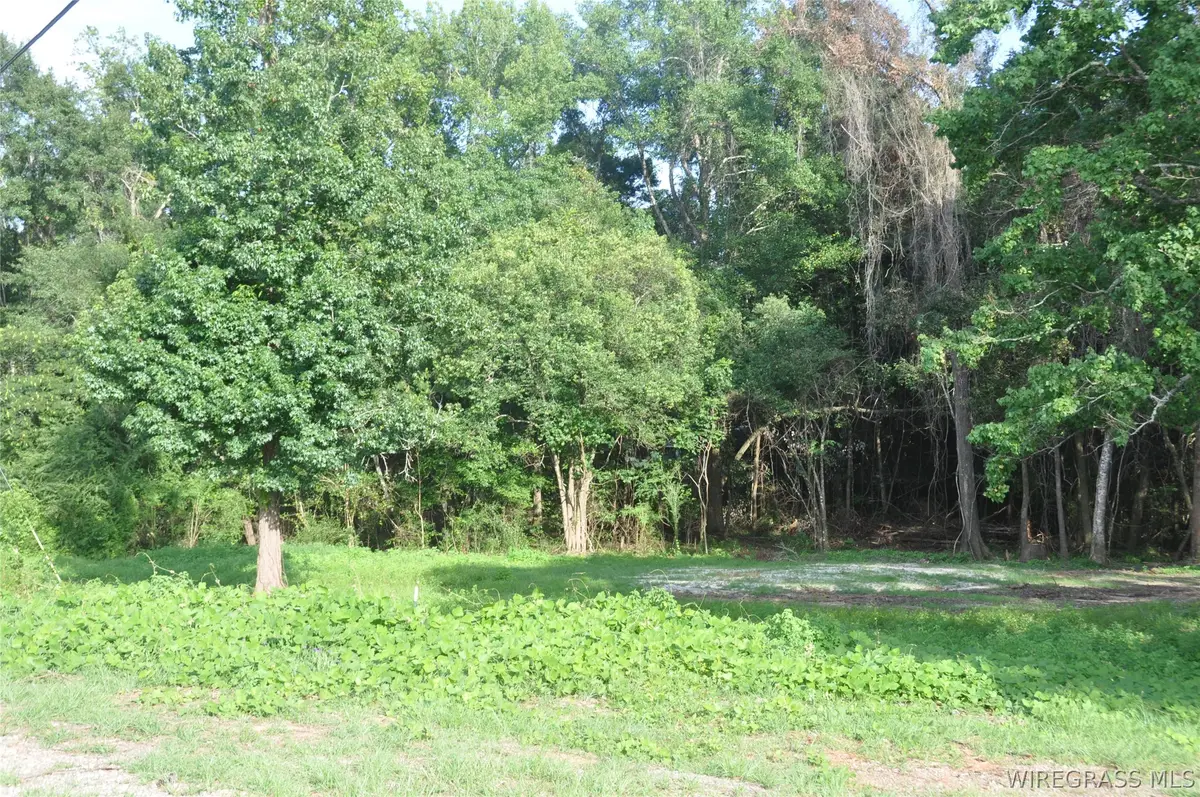 110 Stroud Avenue, Elba, AL 36323 - #1