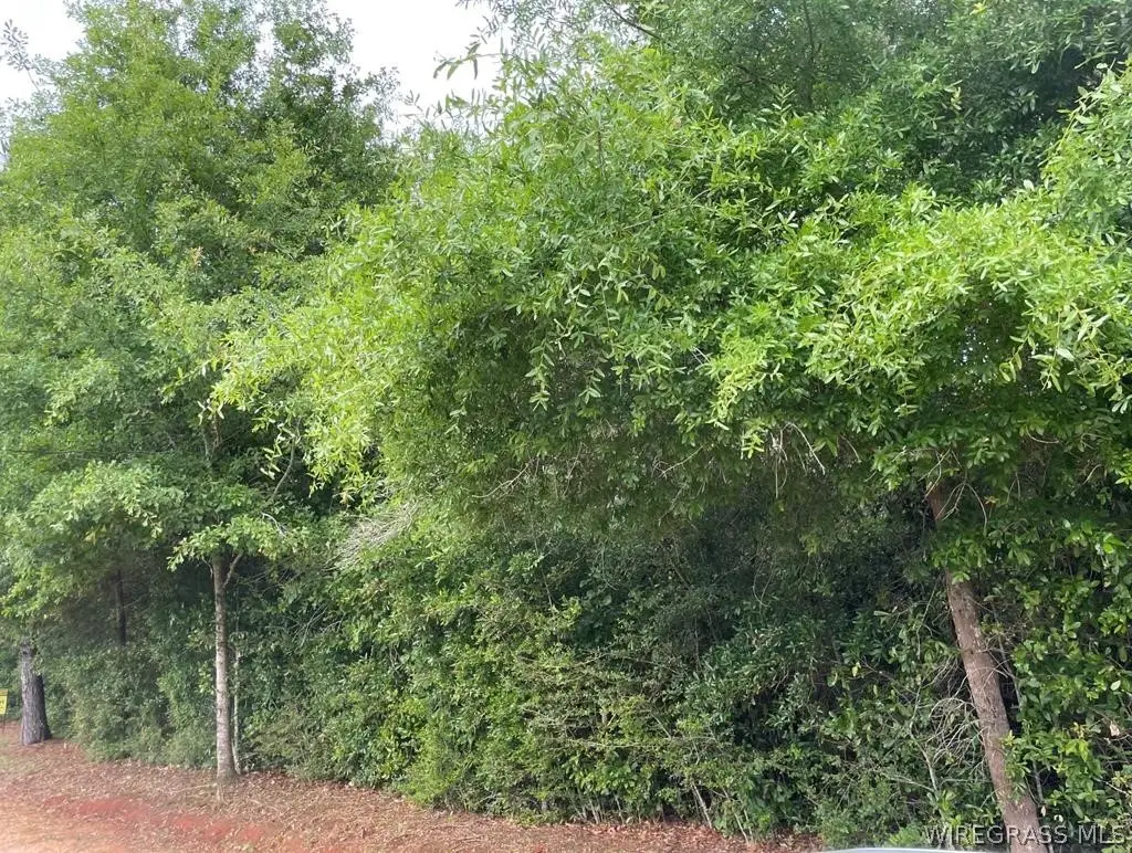 0 County Road #1705, Enterprise, AL 36330 - #1
