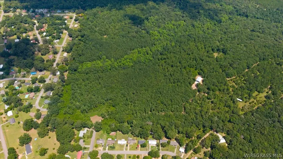 0 Will Logan Road, Ozark, AL 36360 - #2