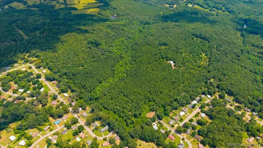 0 Will Logan Road, Ozark, AL 36360 - #3