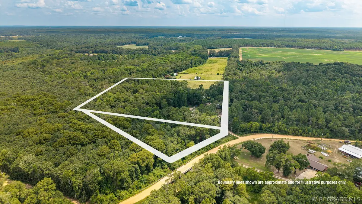 852 Ben Pate Road, Black, AL 36314 - #1