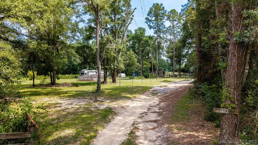 852 Ben Pate Road, Black, AL 36314 - #2