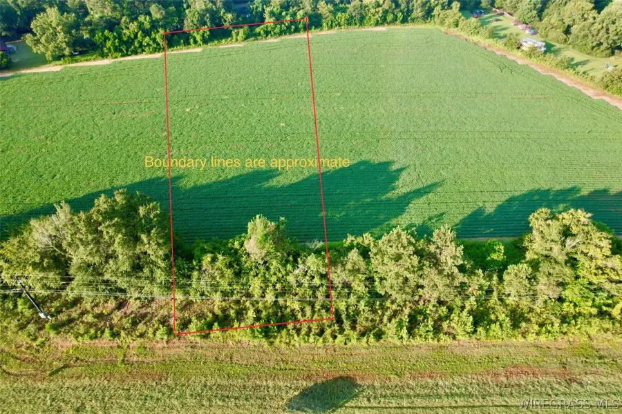 0 Highway 84, Daleville, AL 36322 - #2