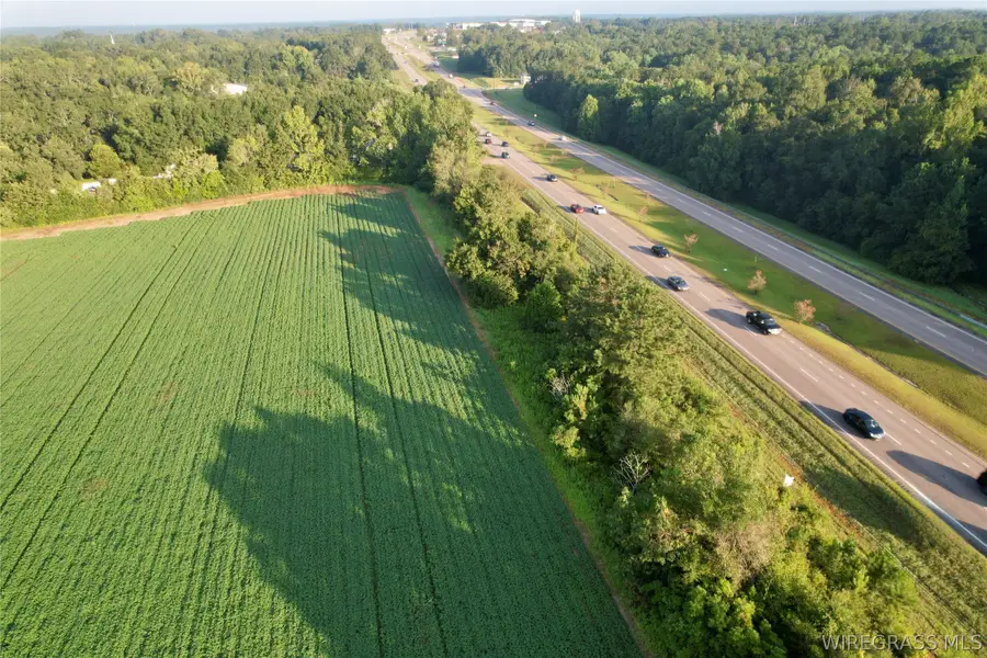 0 Highway 84, Daleville, AL 36322 - #3