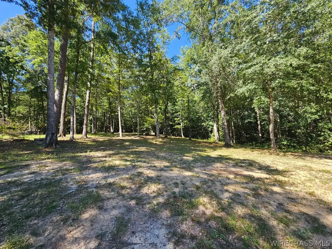Lot 8 Block I Horseshoe Bend Drive, Ozark, AL 36360 - #1