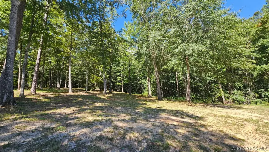 Lot 8 Block I Horseshoe Bend Drive, Ozark, AL 36360 - #3