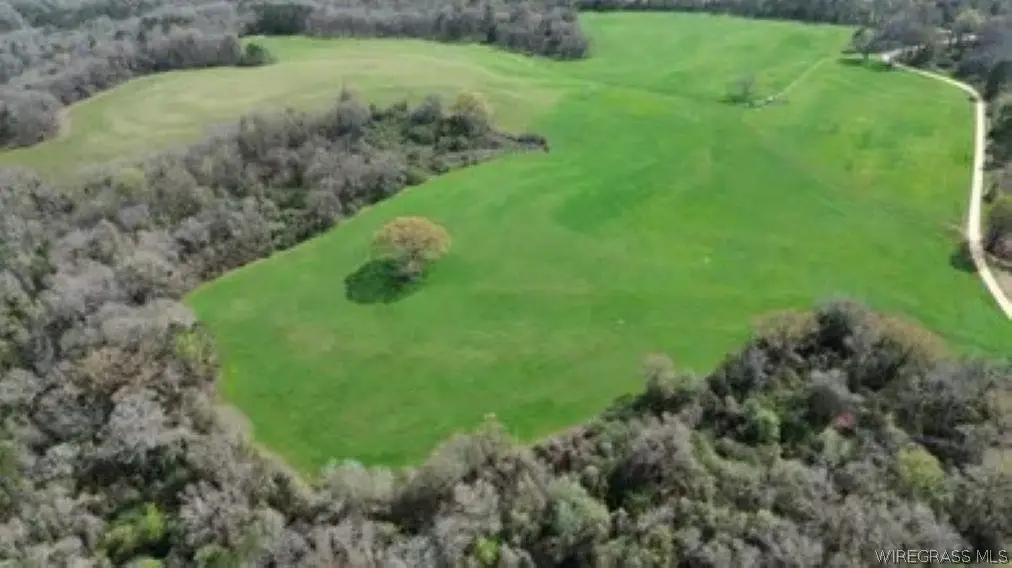 208 County Road 7, Clio, AL 36017 - #1