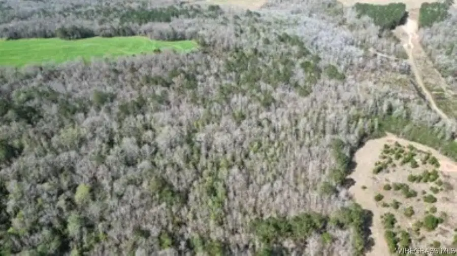 208 County Road 7, Clio, AL 36017 - #2