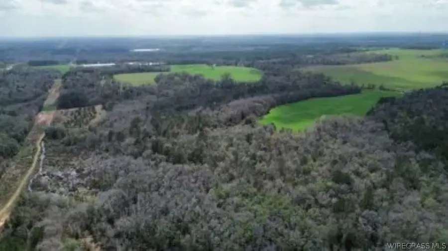 208 County Road 7, Clio, AL 36017 - #3