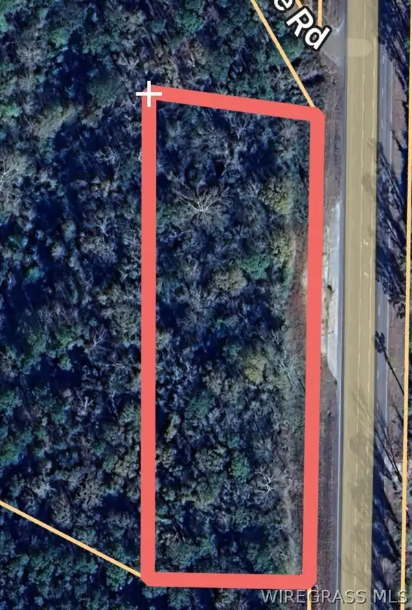 0 Highway 231, Brundidge, AL 36010