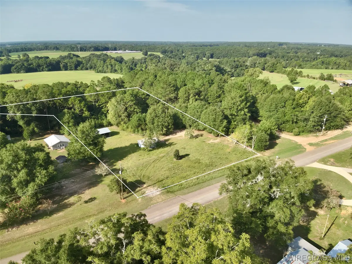 2.73 Acres County Road 40, Chancellor, AL 36316 - #1