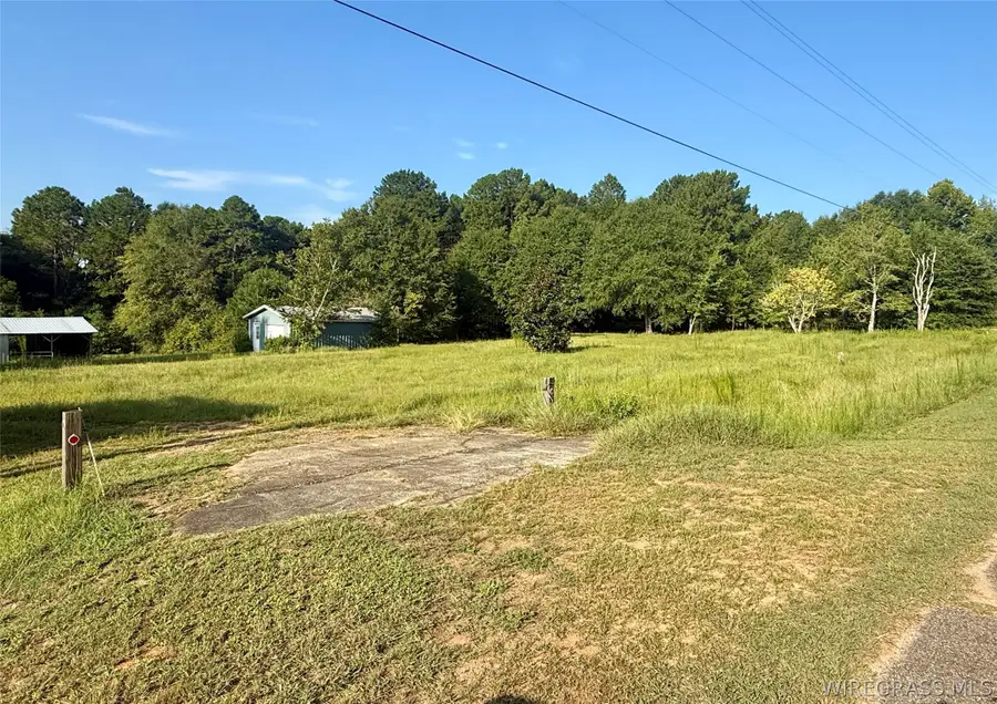 2.73 Acres County Road 40, Chancellor, AL 36316 - #2