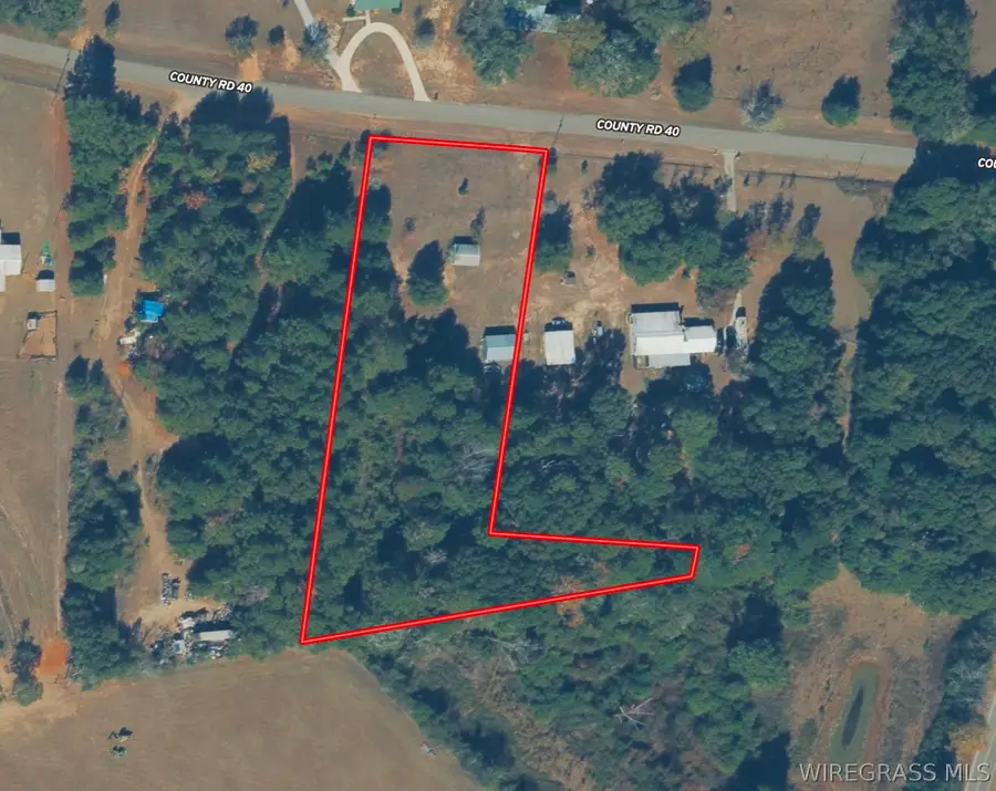 2.73 Acres County Road 40, Chancellor, AL 36316 - #3