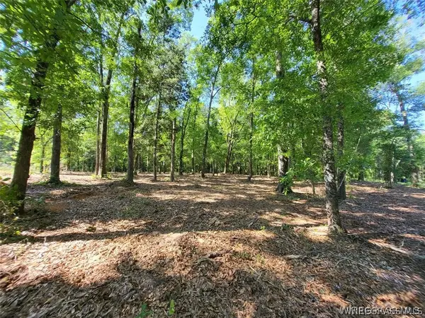 102 Preserve Drive, Enterprise, AL 36330