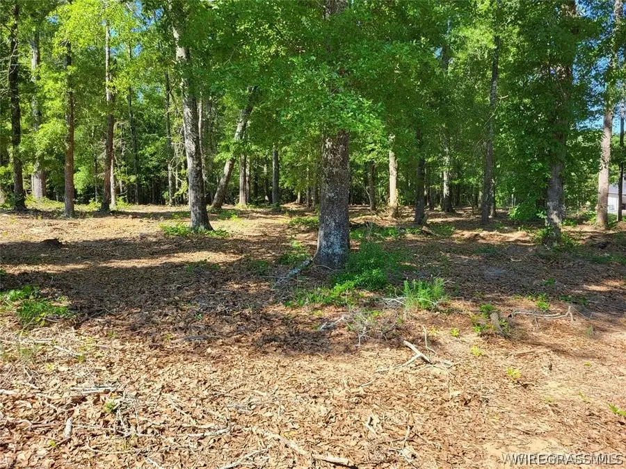 102 Preserve Drive, Enterprise, AL 36330 - #3