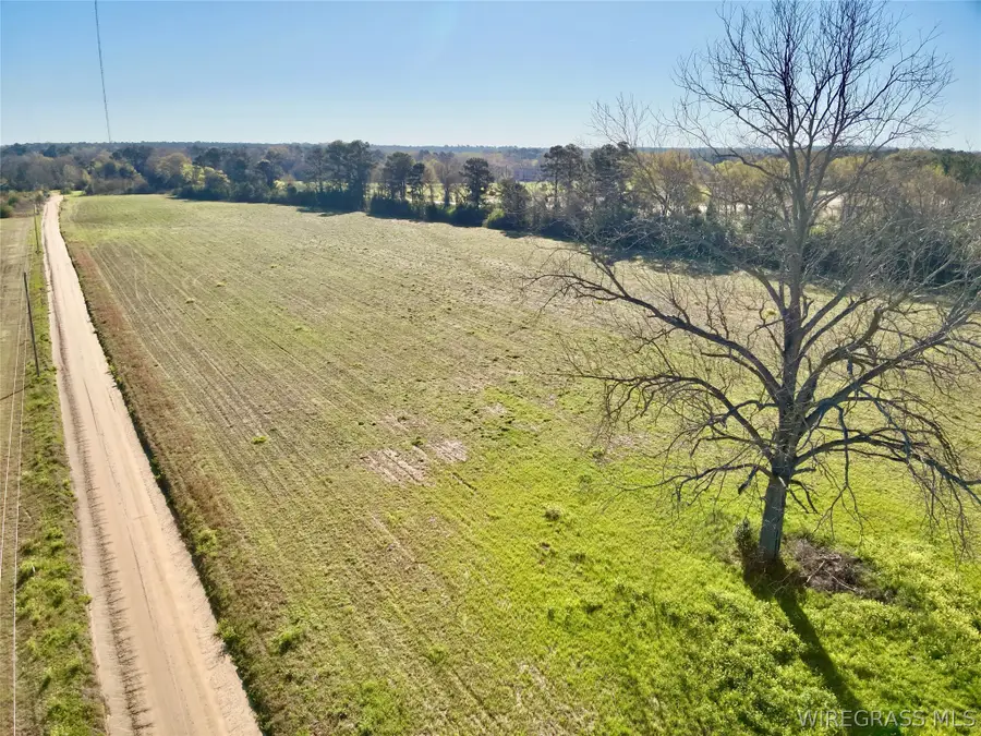 5.97 Acres Huskey Road, Dothan, AL 36303 - #2