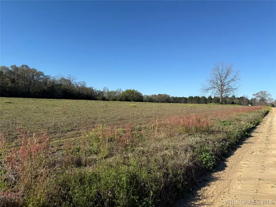 5.97 Acres Huskey Road, Dothan, AL 36303 - #3