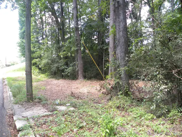 0 Briar Cliff Drive, Ozark, AL 36360