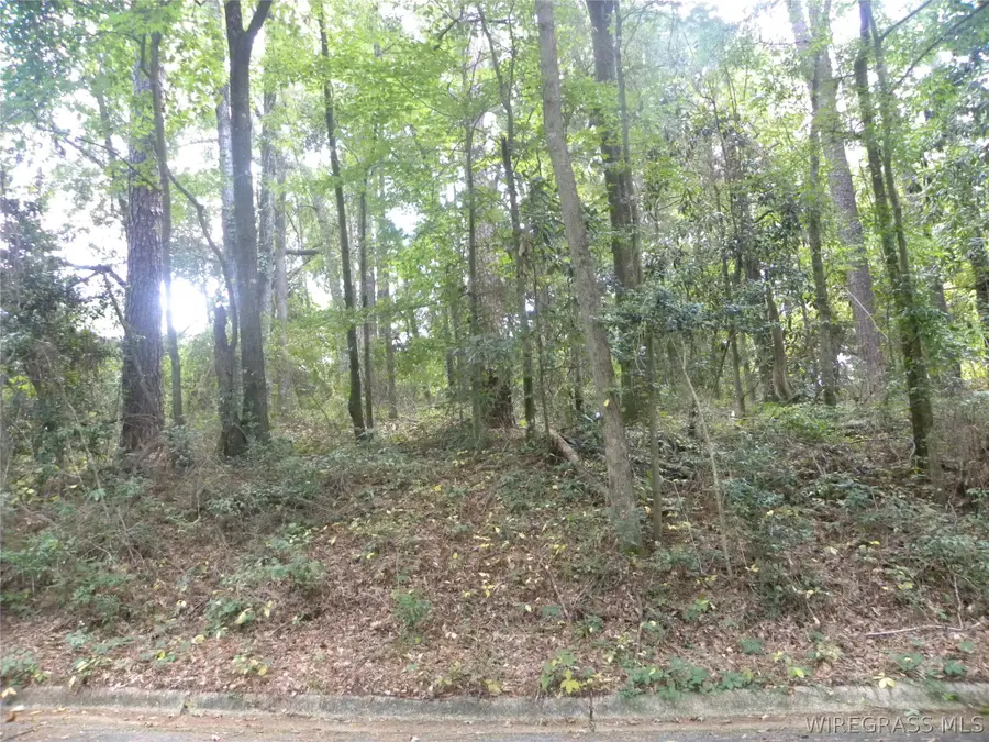 0 Briar Cliff Drive, Ozark, AL 36360 - #2