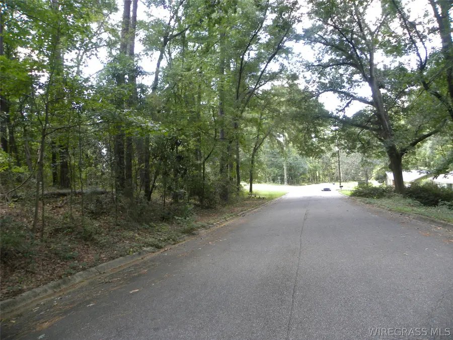 0 Briar Cliff Drive, Ozark, AL 36360 - #3