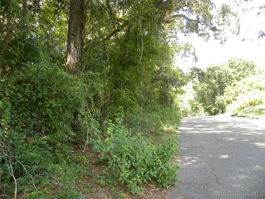 0 Pine Avenue, Ozark, AL 36360 - #2