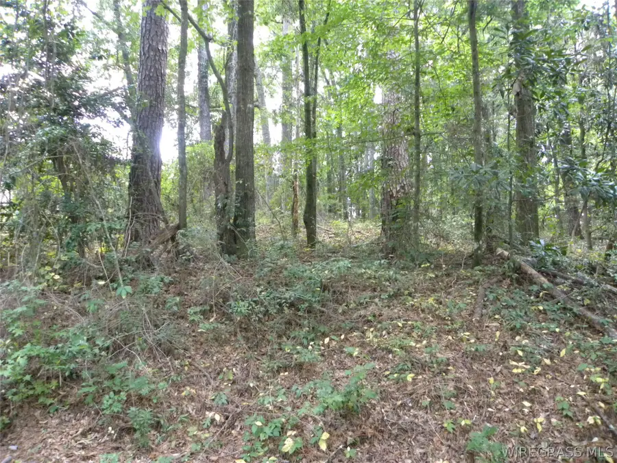 0 Pine Avenue, Ozark, AL 36360 - #3