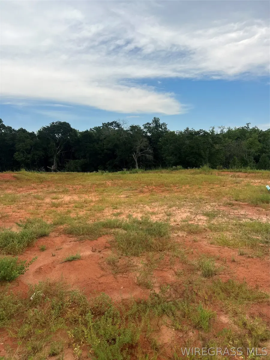 Lot 21 Mullholland Drive, Enterprise, AL 36330 - #2