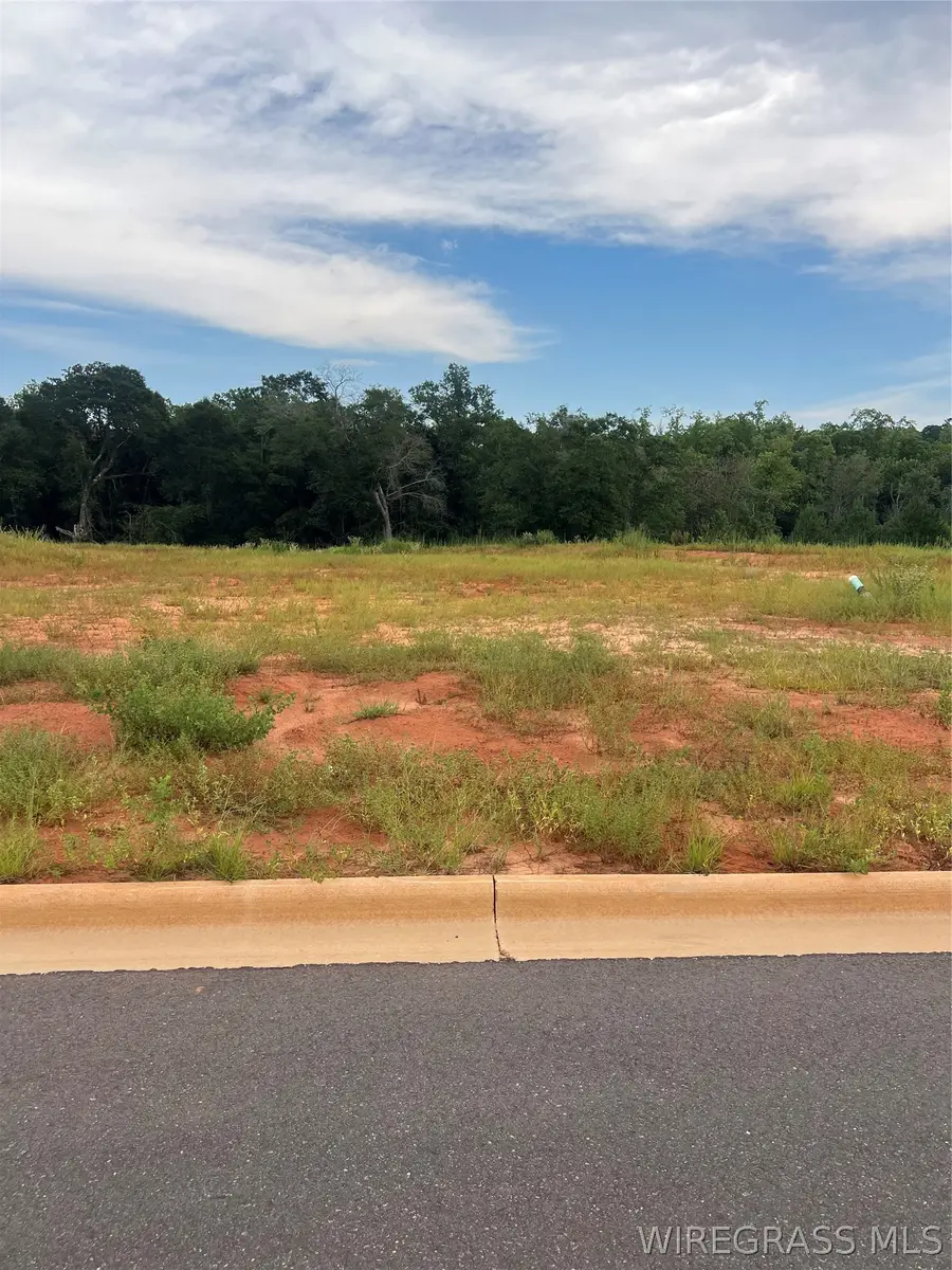 Lot 21 Mullholland Drive, Enterprise, AL 36330 - #3