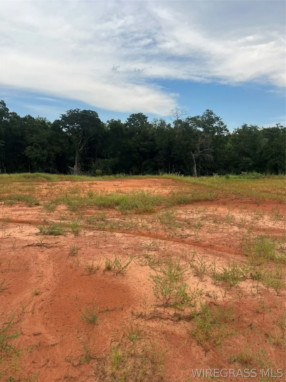 Lot 20 Mullholland Drive, Enterprise, AL 36330 - #1
