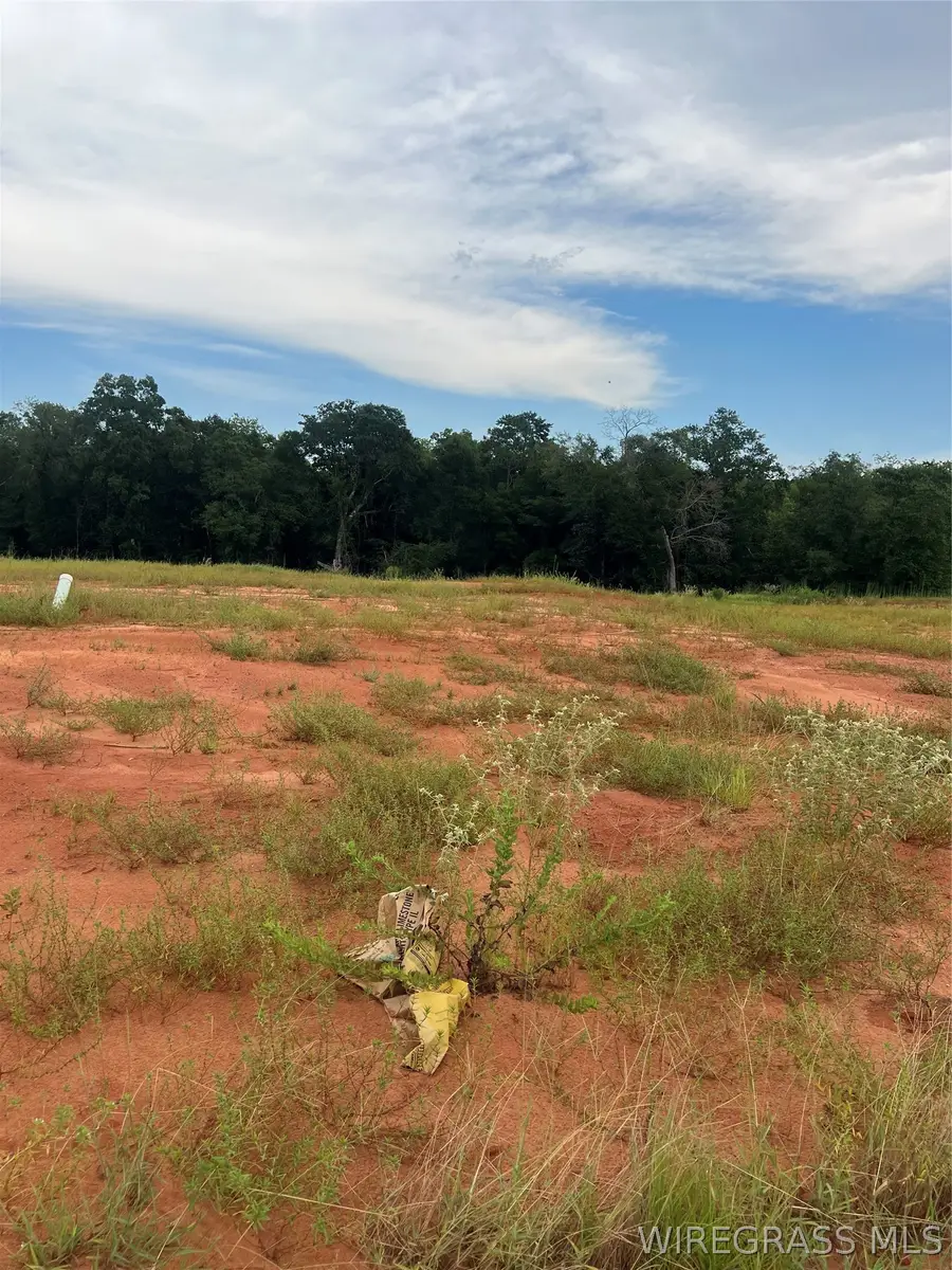 Lot 20 Mullholland Drive, Enterprise, AL 36330 - #2