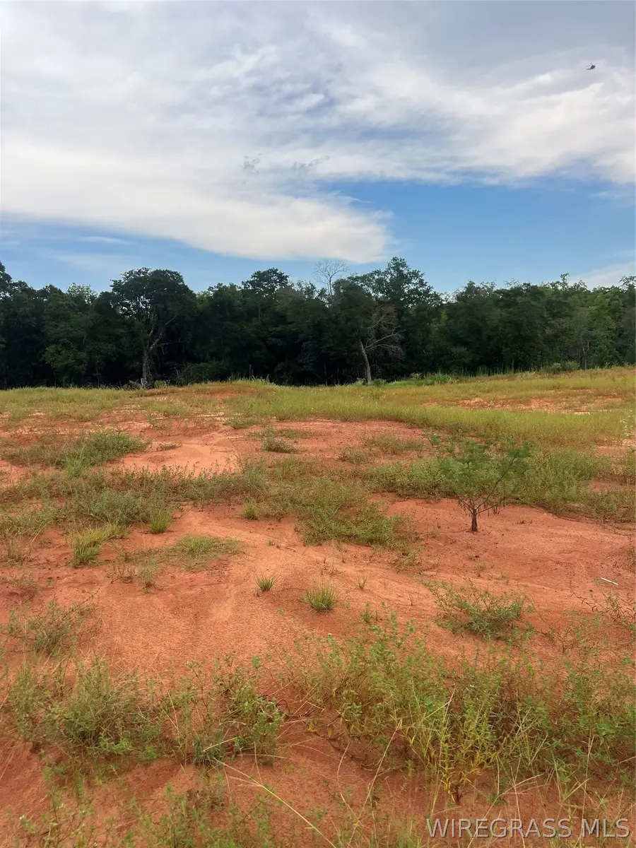 Lot 20 Mullholland Drive, Enterprise, AL 36330 - #3