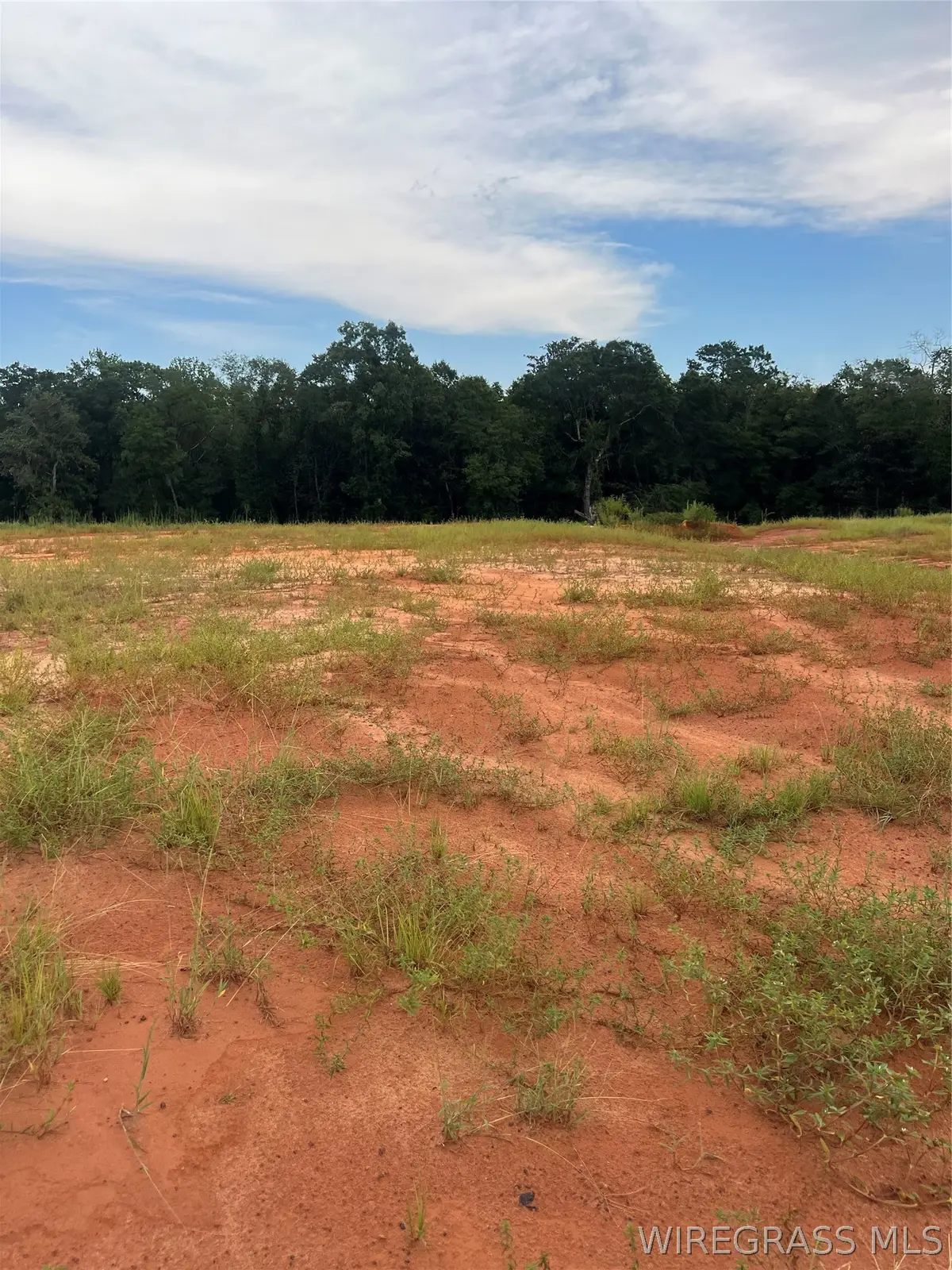 Lot 19 Mullholland Drive, Enterprise, AL 36330 - #1