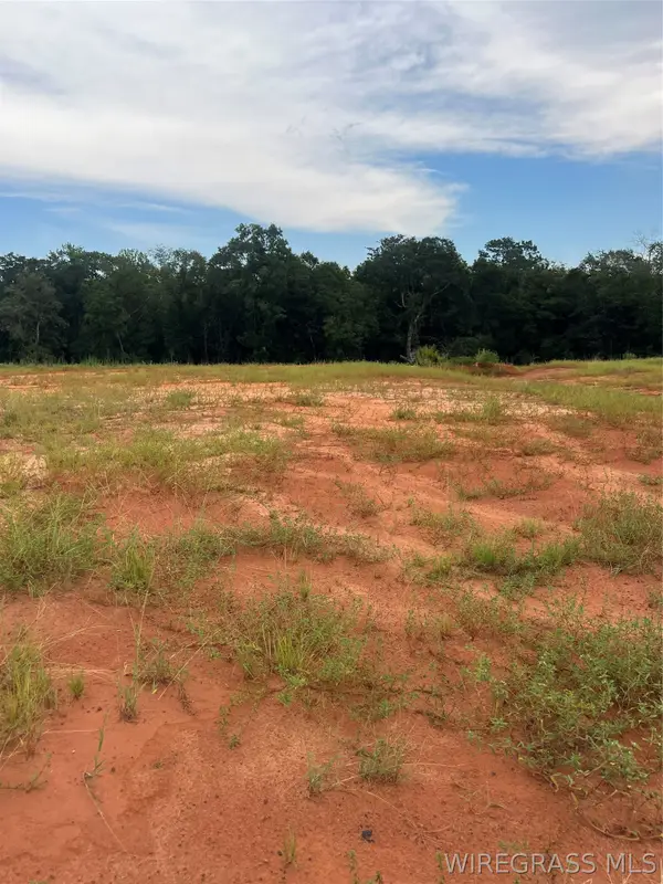 Lot 19 Mullholland Drive, Enterprise, AL 36330