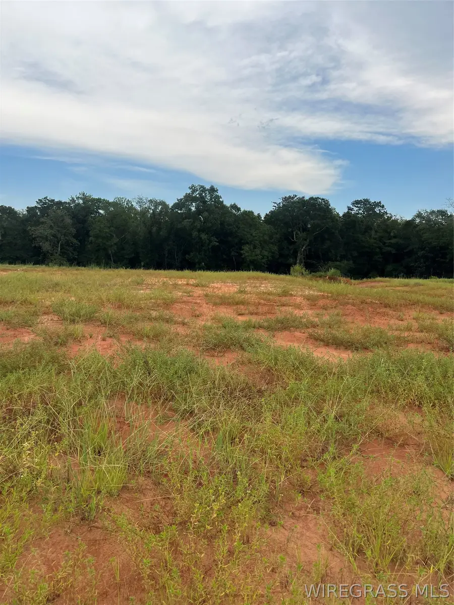 Lot 19 Mullholland Drive, Enterprise, AL 36330 - #2