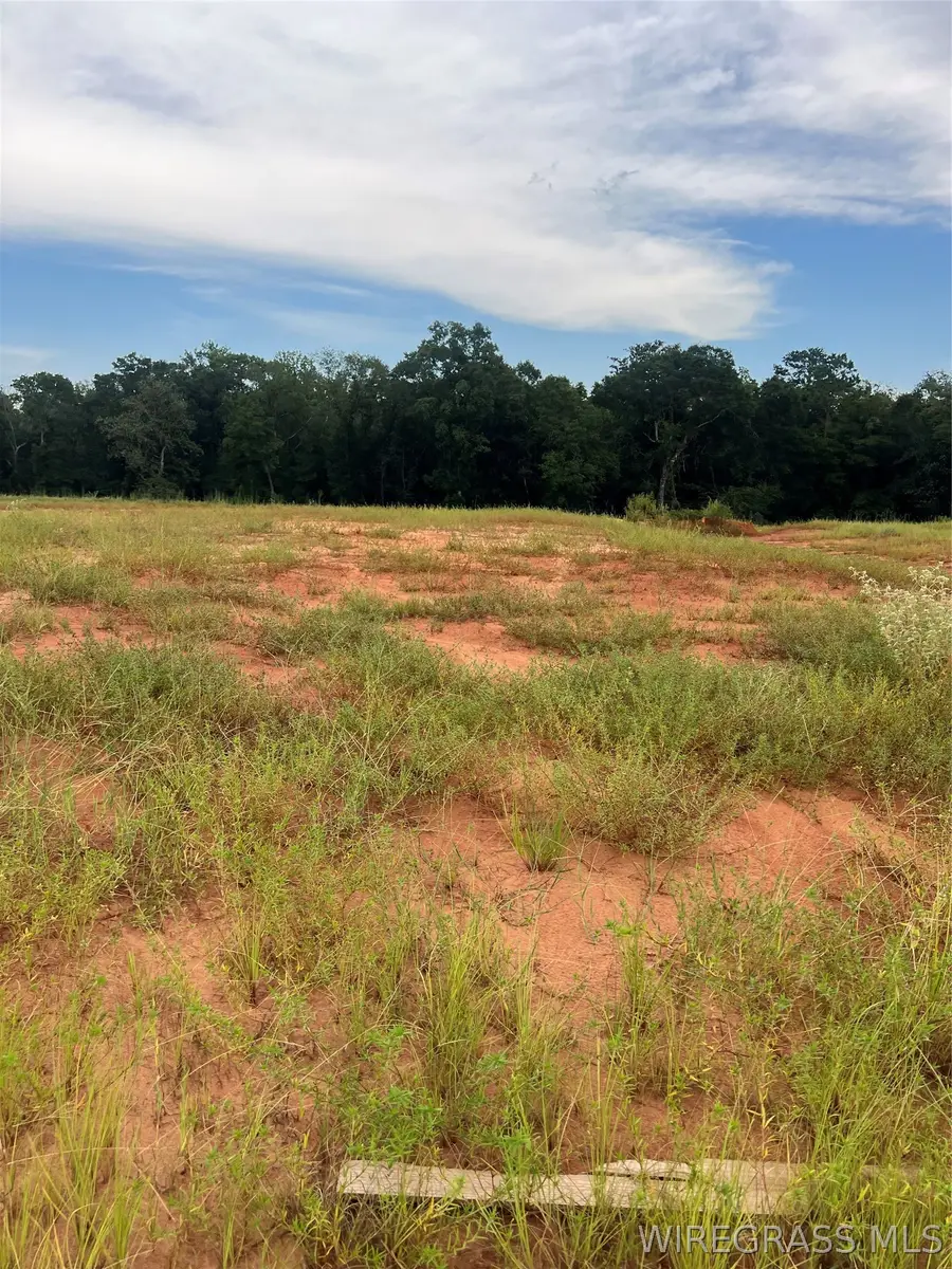 Lot 19 Mullholland Drive, Enterprise, AL 36330 - #3