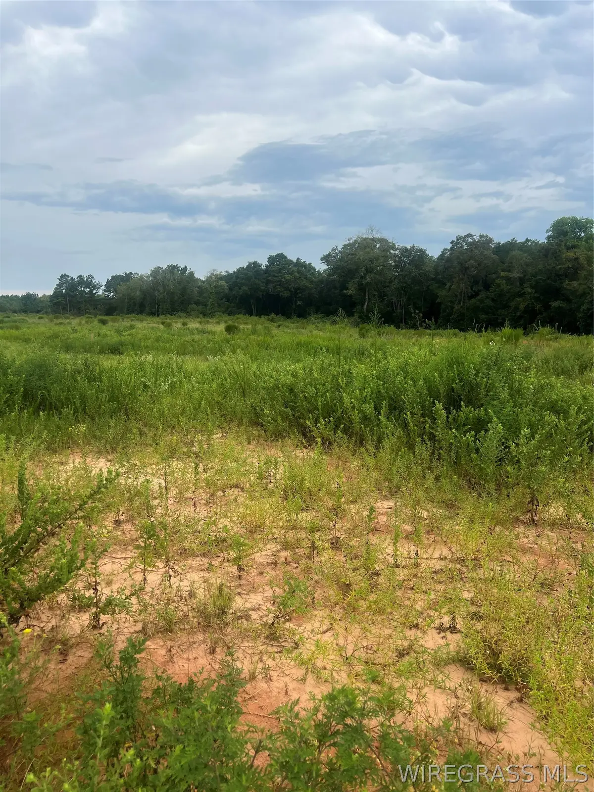Lot 18 Mullholland Drive, Enterprise, AL 36330 - #1