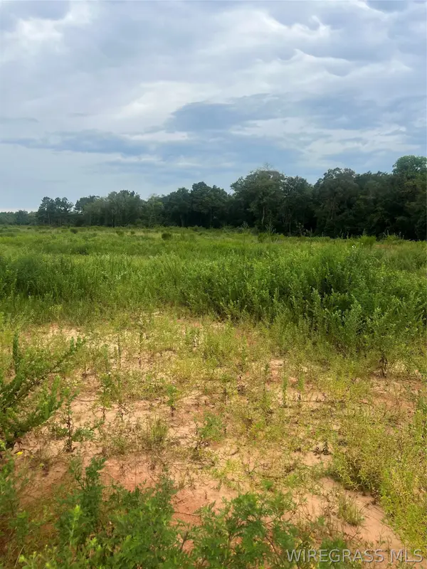 Lot 18 Mullholland Drive, Enterprise, AL 36330