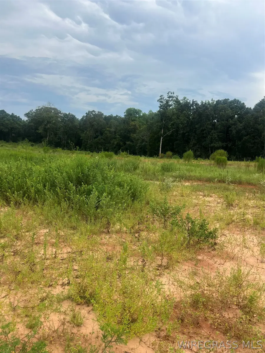 Lot 18 Mullholland Drive, Enterprise, AL 36330 - #2