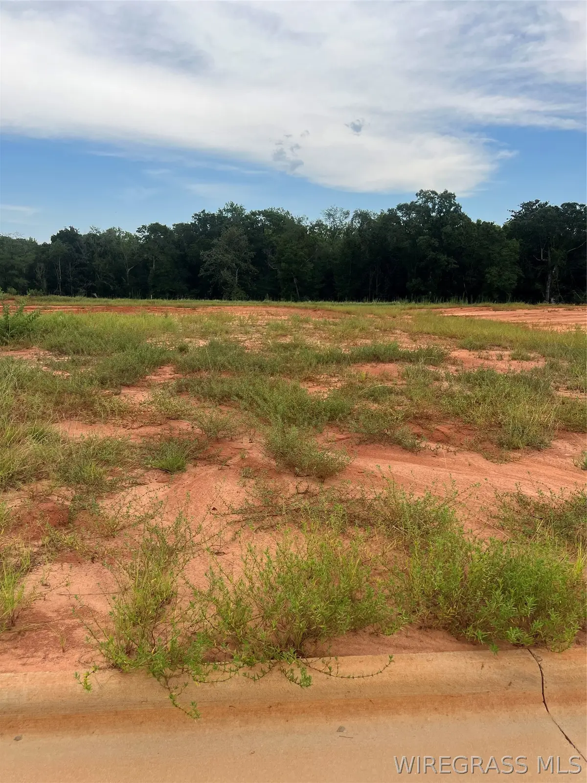 Lot 17 Mullholland Drive, Enterprise, AL 36330 - #1