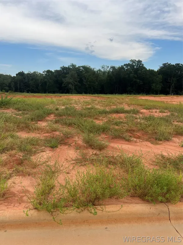 Lot 17 Mullholland Drive, Enterprise, AL 36330