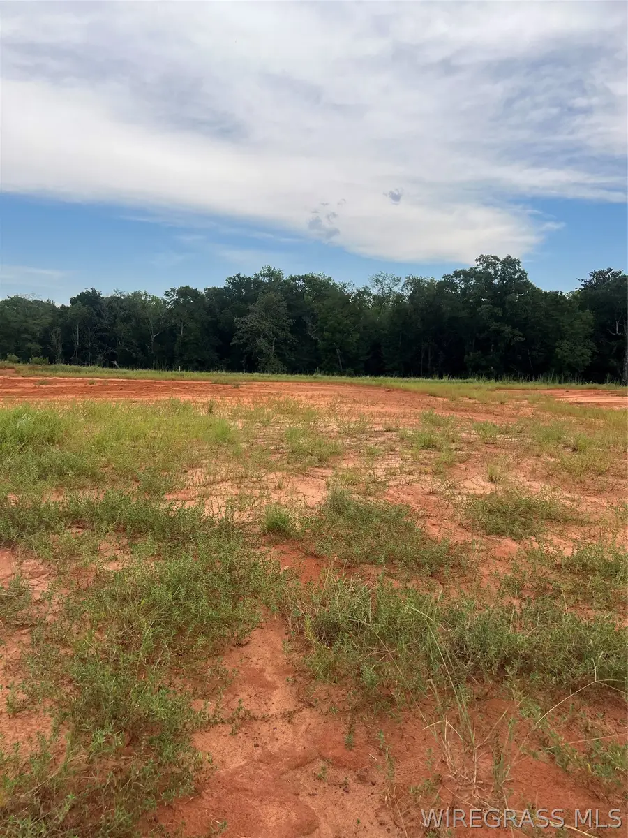 Lot 17 Mullholland Drive, Enterprise, AL 36330 - #2