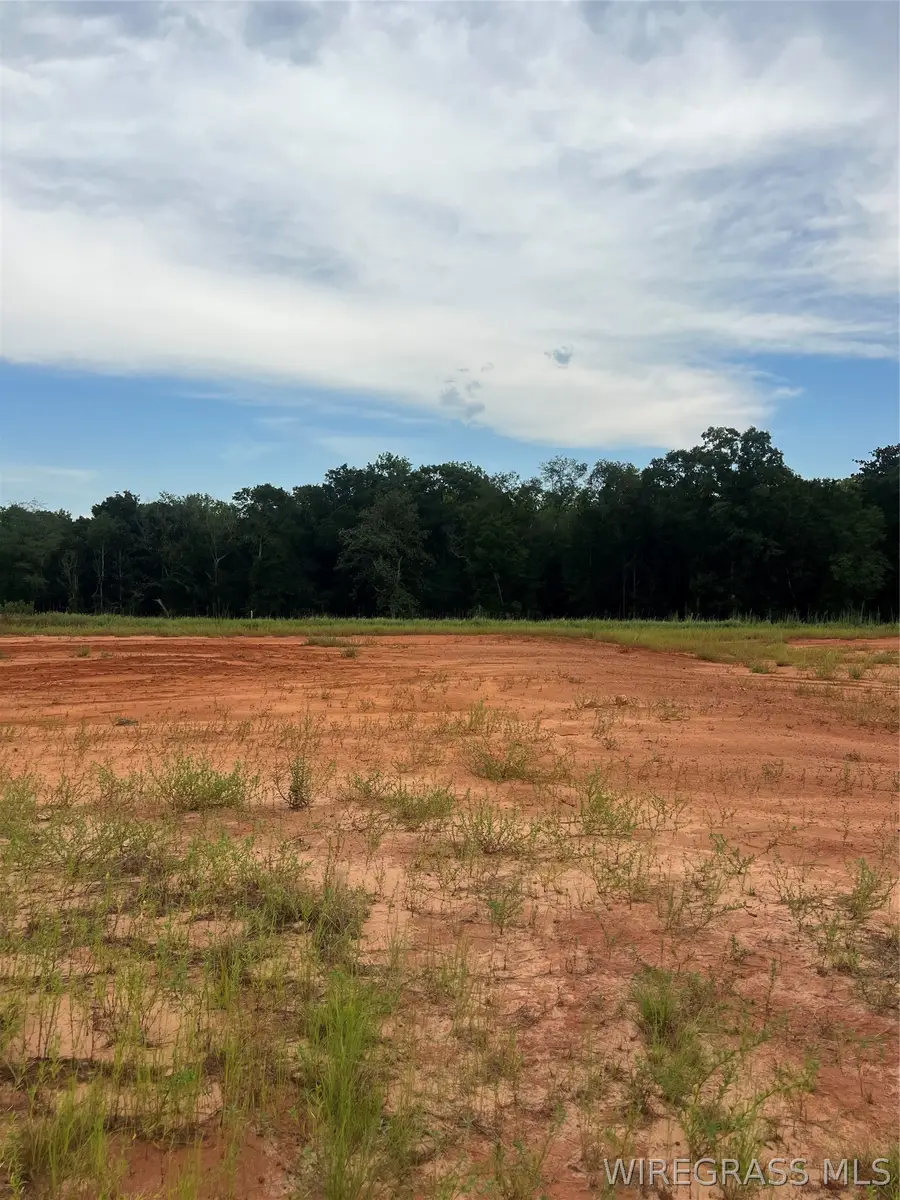 Lot 17 Mullholland Drive, Enterprise, AL 36330 - #3
